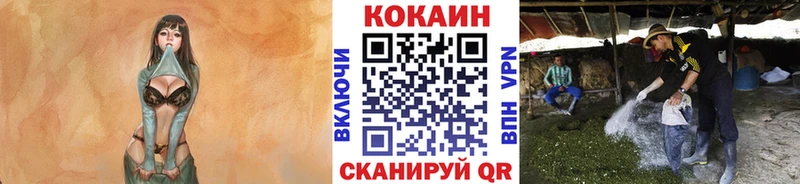 цены   Сосногорск  КОКАИН 98% 