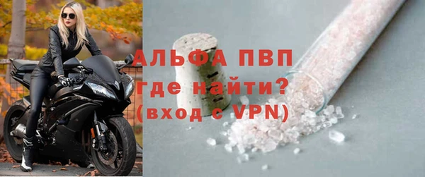 эйфоретик Бородино