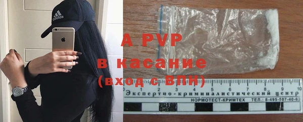 индика Бугульма