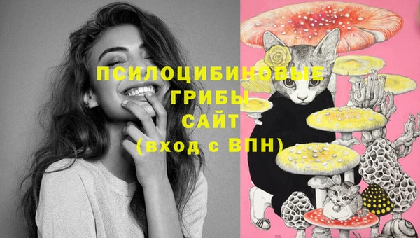 эйфоретик Бородино