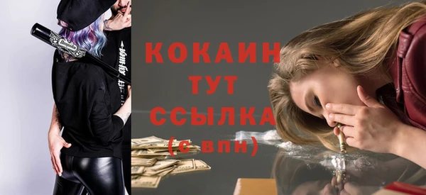 эйфоретик Бородино