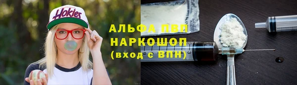 эйфоретик Бородино