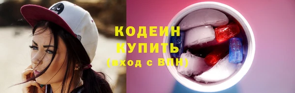 индика Бугульма