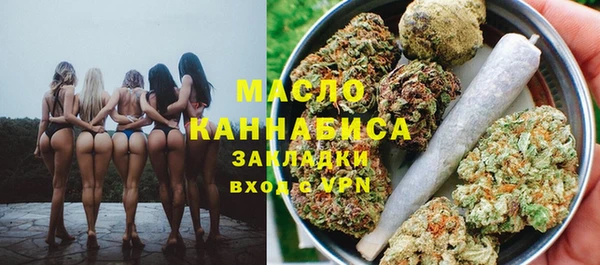 индика Бугульма