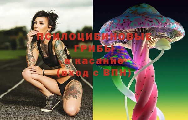 эйфоретик Бородино