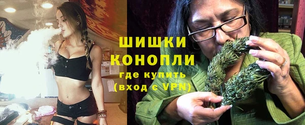 эйфоретик Бородино