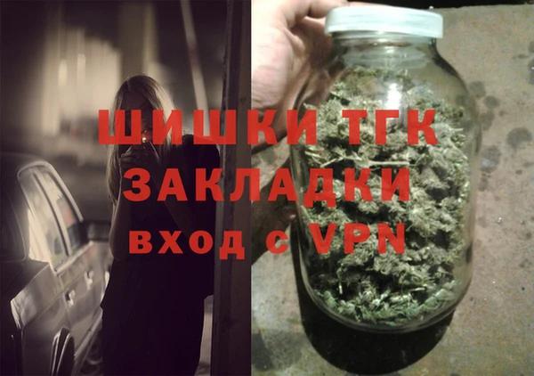 индика Бугульма