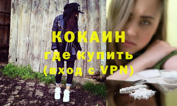 индика Бугульма